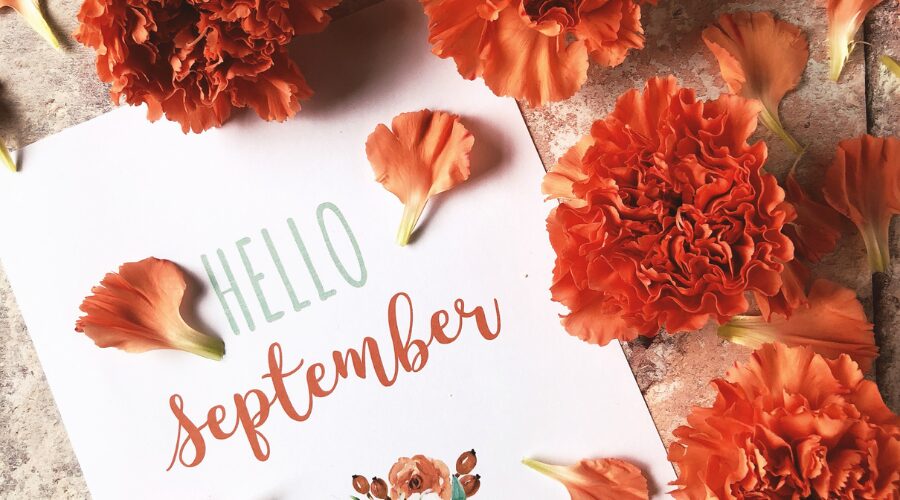 Scopri di più sull'articolo 10 must-have beauty per il rientro di settembre