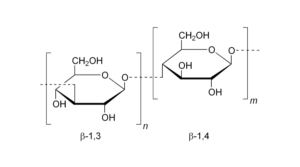 Scopri di più sull'articolo Beauty in pillole: Betaglucano