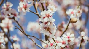 Scopri di più sull'articolo I must-have che amano la primavera