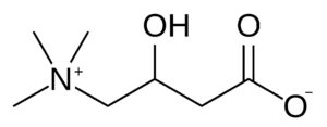 Scopri di più sull'articolo Beauty in pillole – Carnitina e Acetil-L-Carnitina